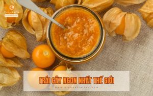 Top 10 loại trái cây ngon nhất thế giới, trong đó có trái cây Việt Nam