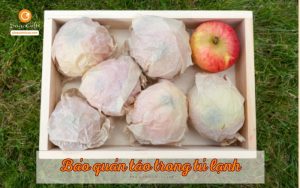 Hướng dẫn cách bảo quản táo trong tủ lạnh giòn ngon, tươi lâu