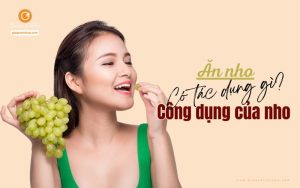 Ăn nho có tác dụng gì? Những công dụng tuyệt vời của nho
