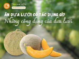 Ăn dưa lưới có tác dụng gì? những công dụng của dưa lưới
